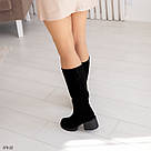 Зимові чоботи жіночі на невисокому стійкому підборі з натуральної замші 36-41, фото 8