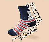 Шкарпетки дитячі для хлопчиків 5 пар розмір 33-38, фото 2