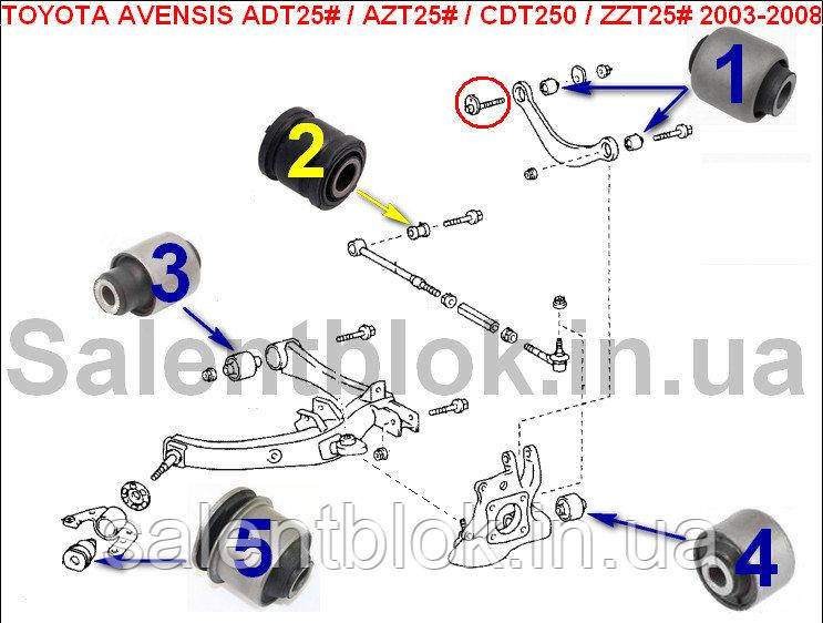 Сайлентблоки TOYOTA AVENSIS (_T25_) 2003-2008 в задні ричаги, фото 1
