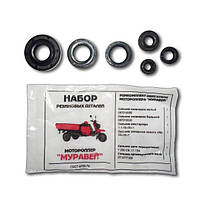 Набір сальників «Муравей»