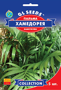 Пальма бамбукова Хамедорея 5н