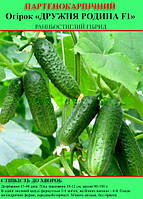 Насіння огірка "Дружна сімейка F1" 100 г (партенокарпічний)
