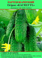 Насіння огірка "Каспер F1" 100 г (партенокарпічний)