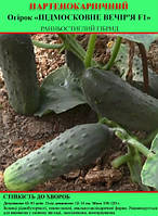 Насіння огірка "Підмоскові вечори F1" 100 г (партенокарпічний)