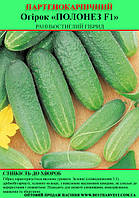 Насіння огірка "Полонез F1" 100 г (партенокарпічний)