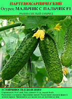 Насіння огірка "Мальчик з пальчик F1" 100 г (партенокарпічний)