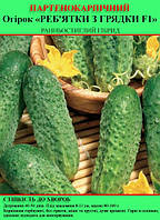 Насіння огірка "Ребочки з грядки F1" 100 г (партенокарпічний)