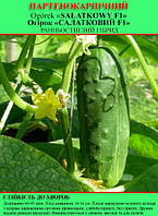 Насіння огірка "Салатовий (SA| ATKOWY) F1" 100 г (партенокарпічний)