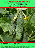 Насіння огірка "Теща F1" 100 г (партенокарпічний)