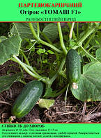 Насіння огірка "Томаш F1" 100 г (партенокарпічний)