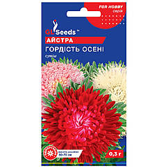 Айстра Гордість осені 0.3 г Gl Seeds
