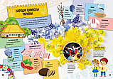 Енциклопедія Велика книга про Україну дітям, фото 4