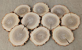 Зрізи дерева для розпису фарбами, шліфовані з двох сторін, d 90-100мм. (10 шт)