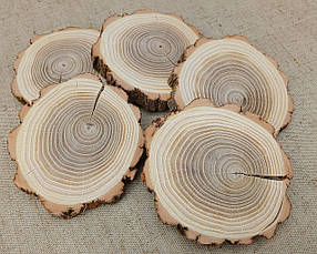 Зріз, спил натурального дерева шліфований для еко картин d 80 мм. набір 5 шт.