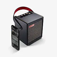 Усилитель для электрогитары Positive Grid Spark MINI