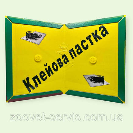 Клейова пастка від щурів і мишей велика безпечна для людей і тварин, фото 3