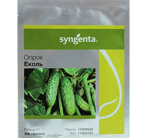 Насіння огірка Еколь F1 (Syngenta), 500 насінин — ранній гібрид (42-45 днів), партенокарпик, фото 2