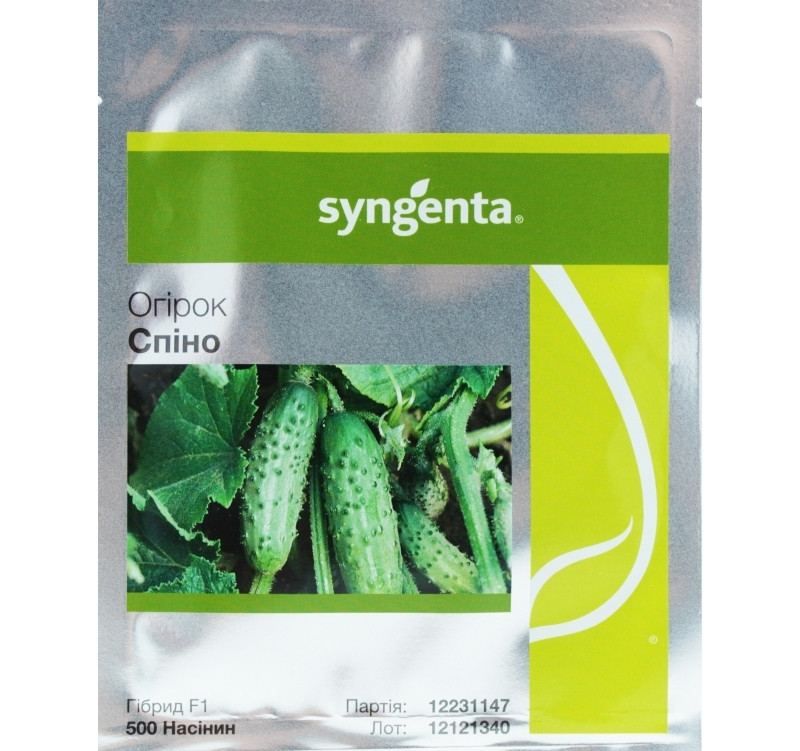 Насіння огірка Спинно F1 (Спино F1) (Syngenta), 500 насіння — ранній гібрид (41-43 дні), партенокарпік