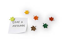 Набор магнитов Qualy Leaf a Message