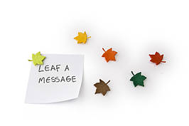 Набір магнітів Qualy Leaf a Message