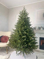 Ялинка Європейська 160 см