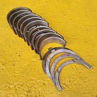 Вкладиші Д-65, РМ-80 ЮМЗ Н1 корінні + шатунні (комплект), оригінал, нового зразка (після 1996 р.)