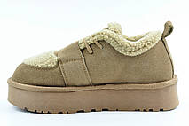 Уги тедді Lonza Allsy низькі 41р., фото 5