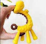 Гризун - прорізувач Жираф, фото 3