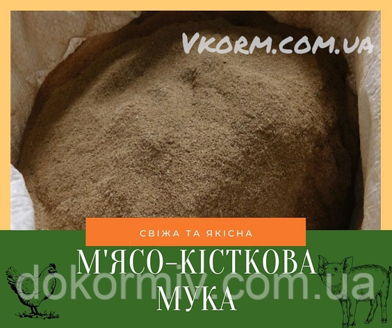 М'ясо-кісткове борошно 54-56% протеїну, фото 1