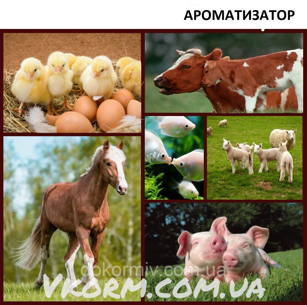 АРОМАТИЗАТОР «МУЛЬТИФРУТ»в корм для тварин