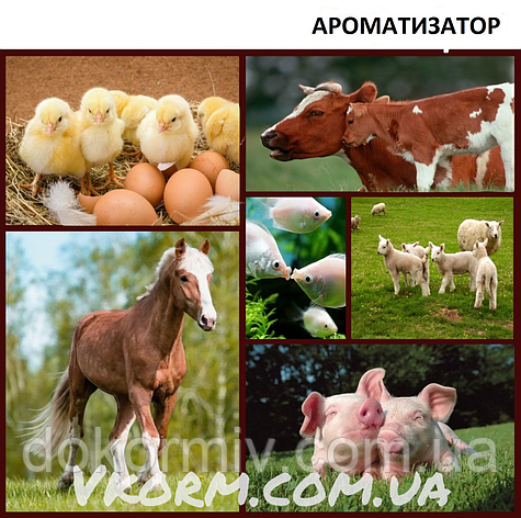 АРОМАТИЗАТОР «МУЛЬТИФРУТ»в корм для тварин, фото 1