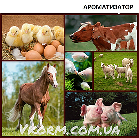 АРОМАТИЗАТОР МОЛОКО-ВАНІЛЬ