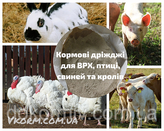 Кормові дріжджі (50 кг), фото 2