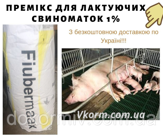 Премікс для лактуючих свиноматок 1%, фото 1