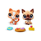 Ігровий набір Littlest Pet Shop – Особливі страви, фото 3