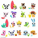 Ігрова фігурка Littlest Pet Shop - Улюбленці, фото 4