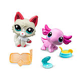 Ігровий набір Littlest Pet Shop – Дивовижні Діви, фото 3