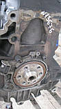 Двигун мотор (BKC) 1,9TDI VW Touran, Golf 5, Jetta 5, Passat B6, Audi A3, Skoda Octavia OE:03G100098X, фото 4