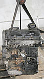 Двигун мотор (BKC) 1,9TDI VW Touran, Golf 5, Jetta 5, Passat B6, Audi A3, Skoda Octavia OE:03G100098X, фото 11