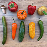 Лічильний матеріал (набір: підрахунки до 100, на 4-10 чоловік), фото 10