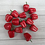 Лічильний матеріал (набір: підрахунки до 100, на 4-10 чоловік), фото 5