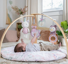 Килимок розвивальний Ingenuity Cozy Spot Calla, фото 3