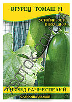 Насіння огірка Томаш F1, самозапильні, 100г