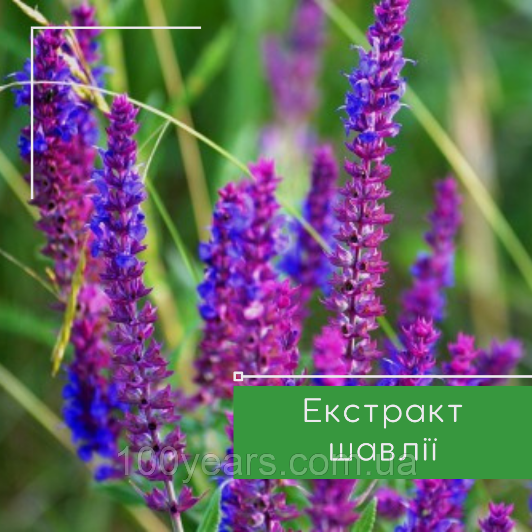 Екстракт шавлії, 50 мл