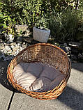 Лежак з подушкою, фото 3