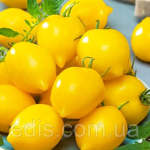Томат Лимонне серце (індетермінантний, для салатів і консервування) 0,1 г, насіння Яскрава