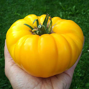 Томат Лимонний гігант 0,1 г, насіння Яскрава, фото 1