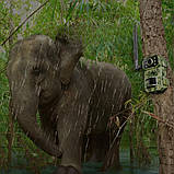 Автономна мисливська камера A8 4G із сонячною панеллю нічним баченням та датчиком руху PIR портативна, фото 5