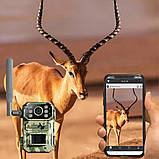 Автономна мисливська камера A8 4G із сонячною панеллю нічним баченням та датчиком руху PIR портативна, фото 6