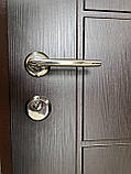 Вхідні двері Україна ДВ03, фото 3